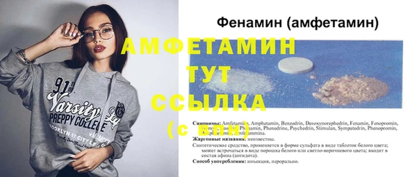 твердый Аркадак