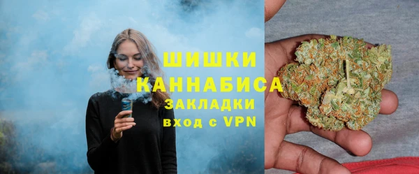 спайс Арсеньев