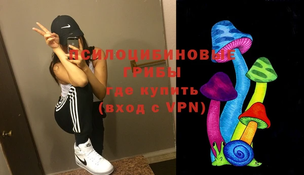 твердый Аркадак