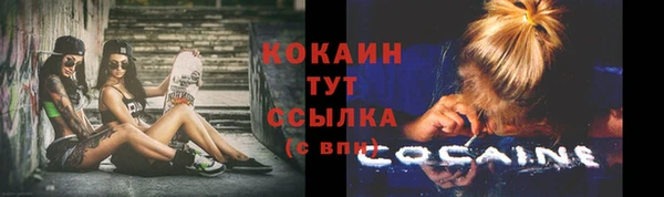 спайс Арсеньев