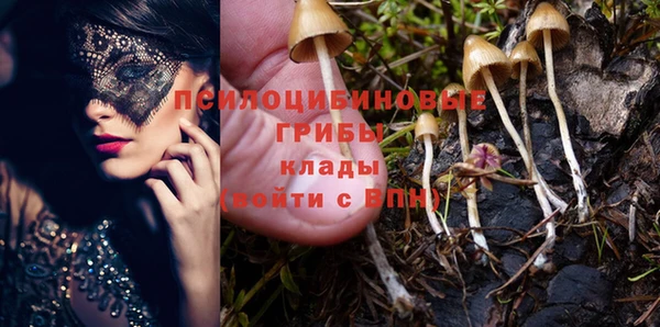 спайс Арсеньев